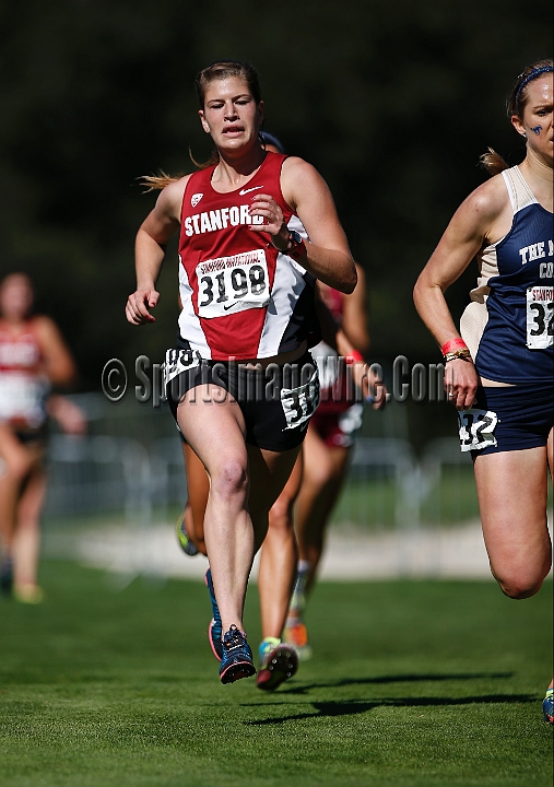 2013SIXCCOLL-134.JPG - 2013 Stanford Cross Country Invitational, September 28, Stanford Golf Course, Stanford, California.